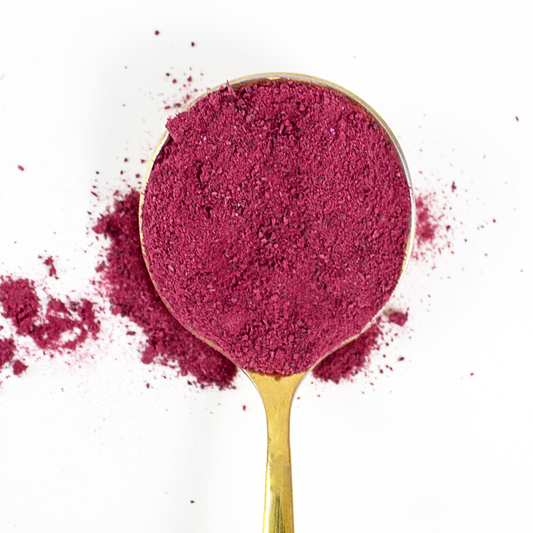 Betabel Liofilizado en Polvo