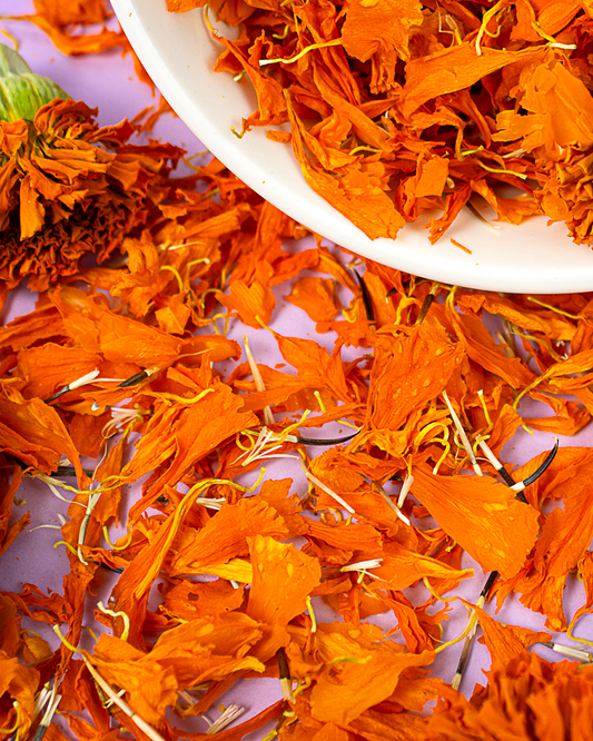 Pétalos de Cempasúchil Liofilizados