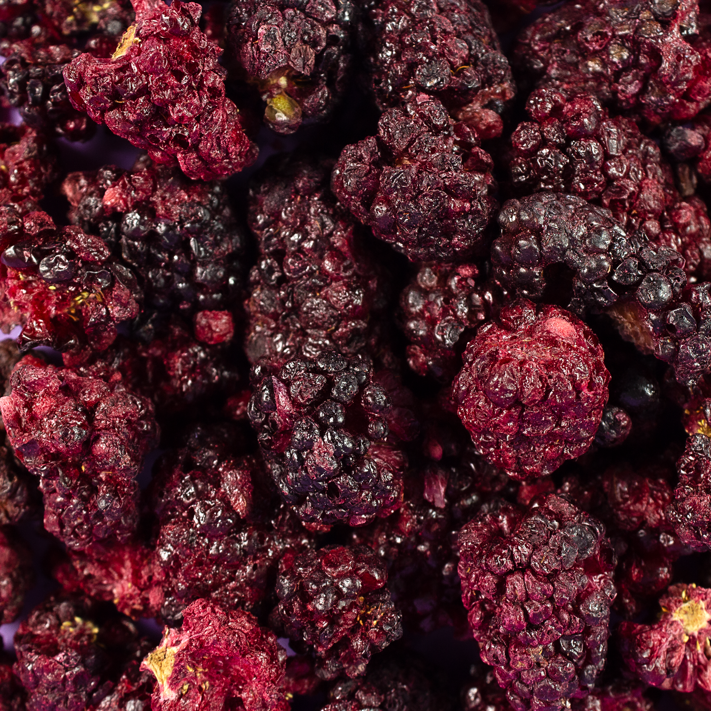 Zarzamora Liofilizada Trozo